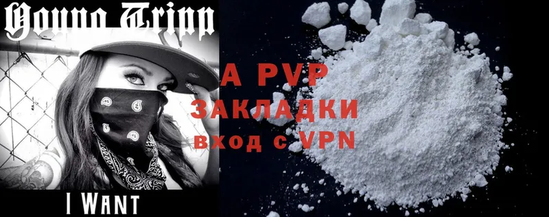 A PVP СК КРИС  Щёкино 